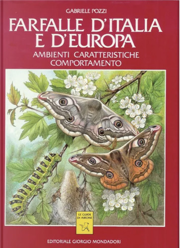 Gabriele Pozzi SCHMETTERLINGE ITALIEN UND EUROPA Umgebungen Merkmale Verhalten