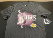 UNK NBA￼￼ Los Angeles Lakers Lebron James Graphic T-Shirt Size Large Dri-fit