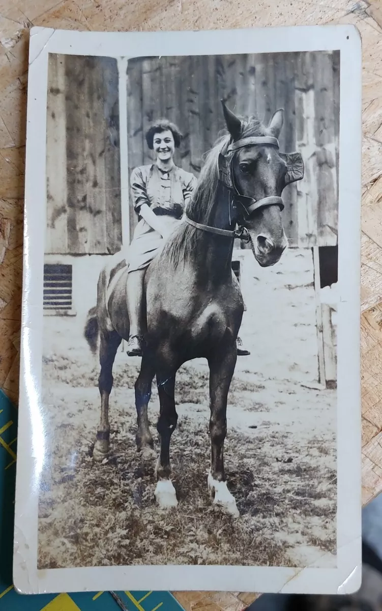 Vintage 1930's / 40's Photo Photograph Woman on a Large Horse