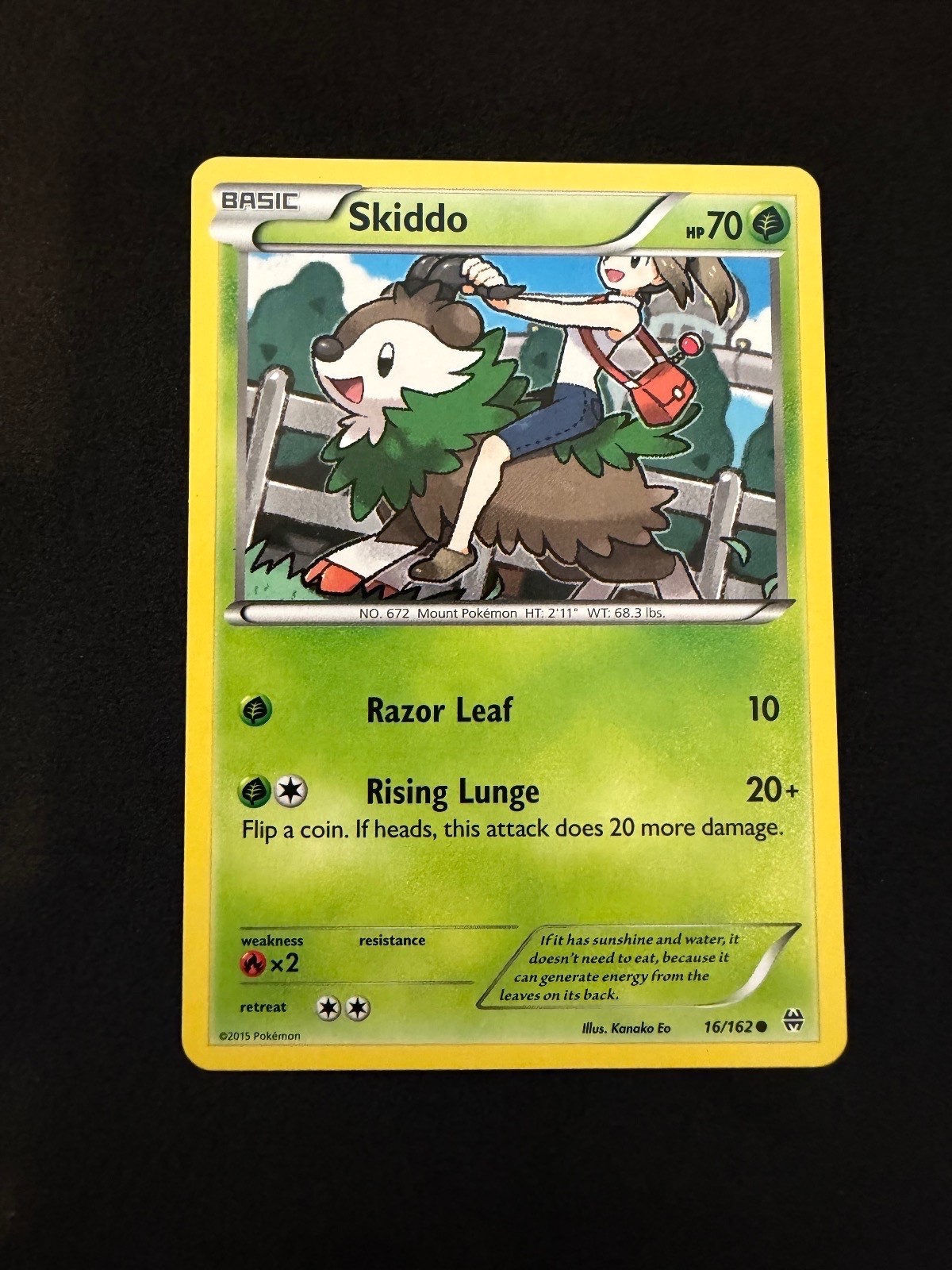 Skiddo 16/162 Common BREAKthrough Pokemon Near Mint