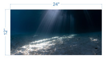 Aquarium Background Underwater Sand - vinyl graphic adhesive AQ0033