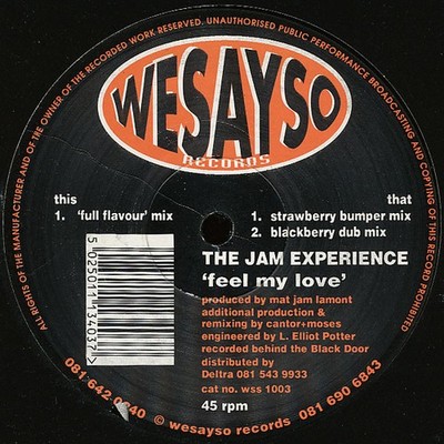 The Jam Experience - Feel My Love (12'') (Very Good (VG)) - 4158360081