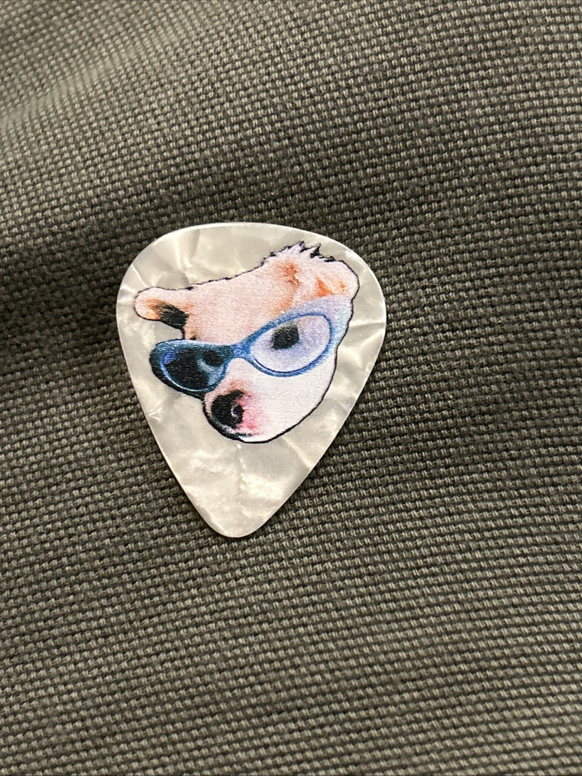 JinJoo Lee Guitar Pick From Jonas Brothers The Burning Up Tour All Over Again DC