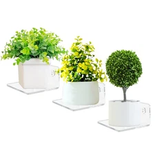 3 Pack Small Acrylic Wall Shelves Mini Floating Display Ledges for Plant Photo