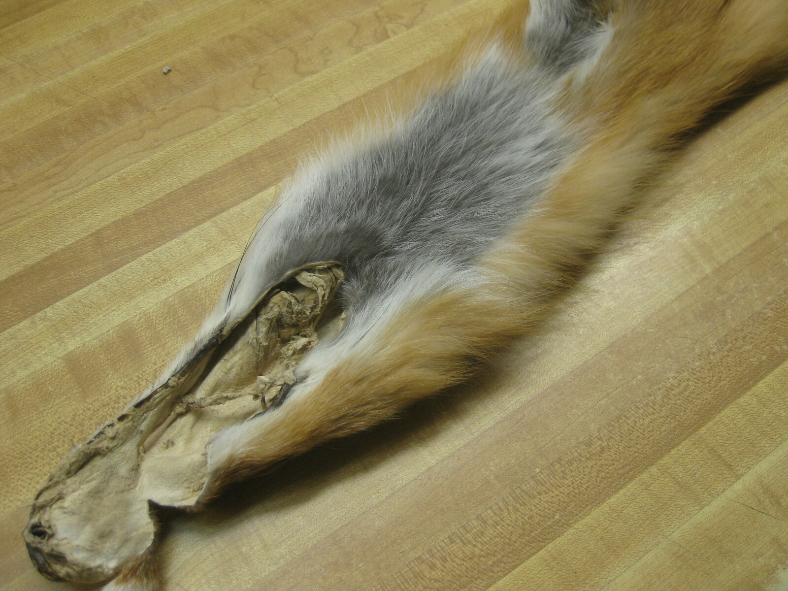 Picture 5 of 8
