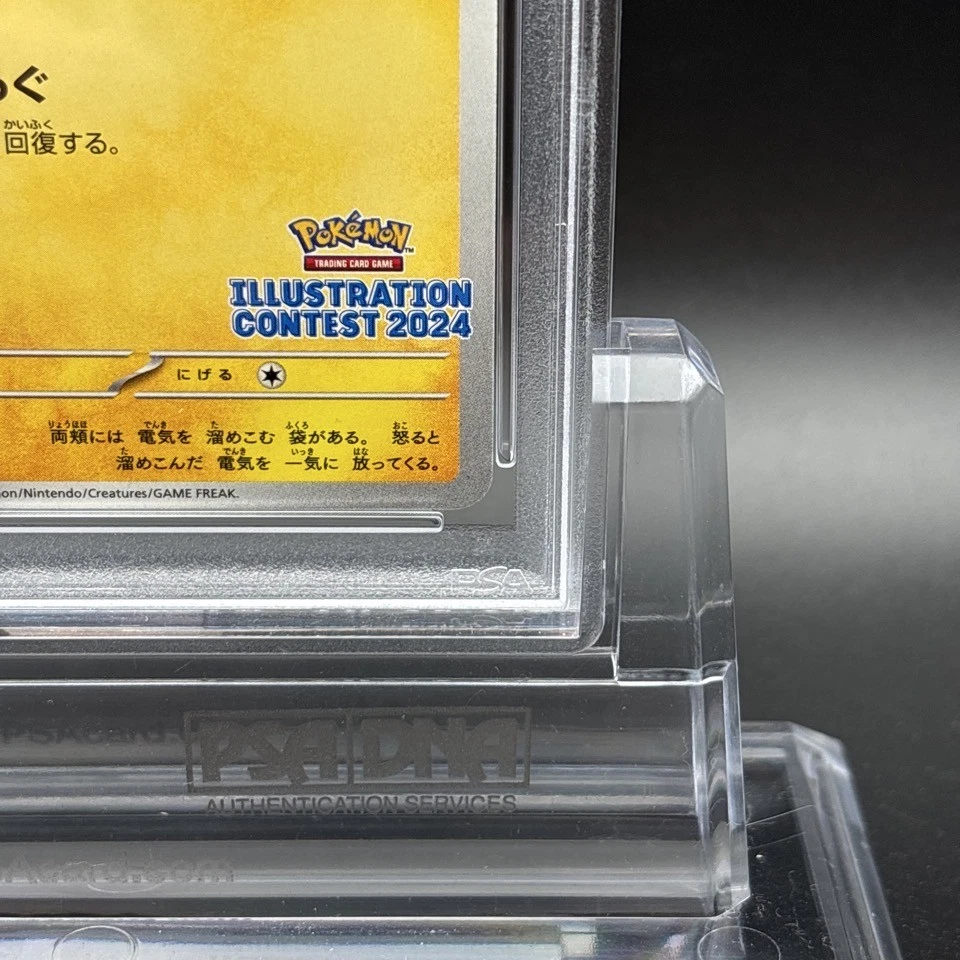 PSA 10 Pikachu 242/SV-P Pokemon Illustration Contest 2024 Promo Card Japanese - Image 4 of 4