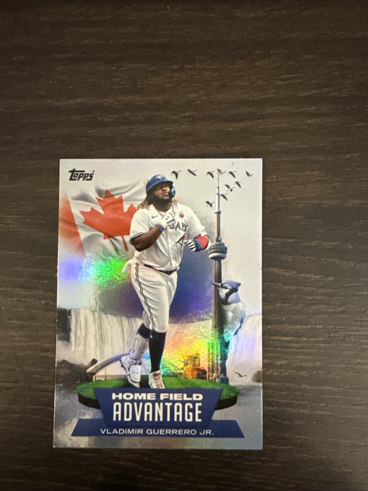 2022 Topps Series 1 - Home Field Advantage Vladimir Guerrero Jr. #HA-10