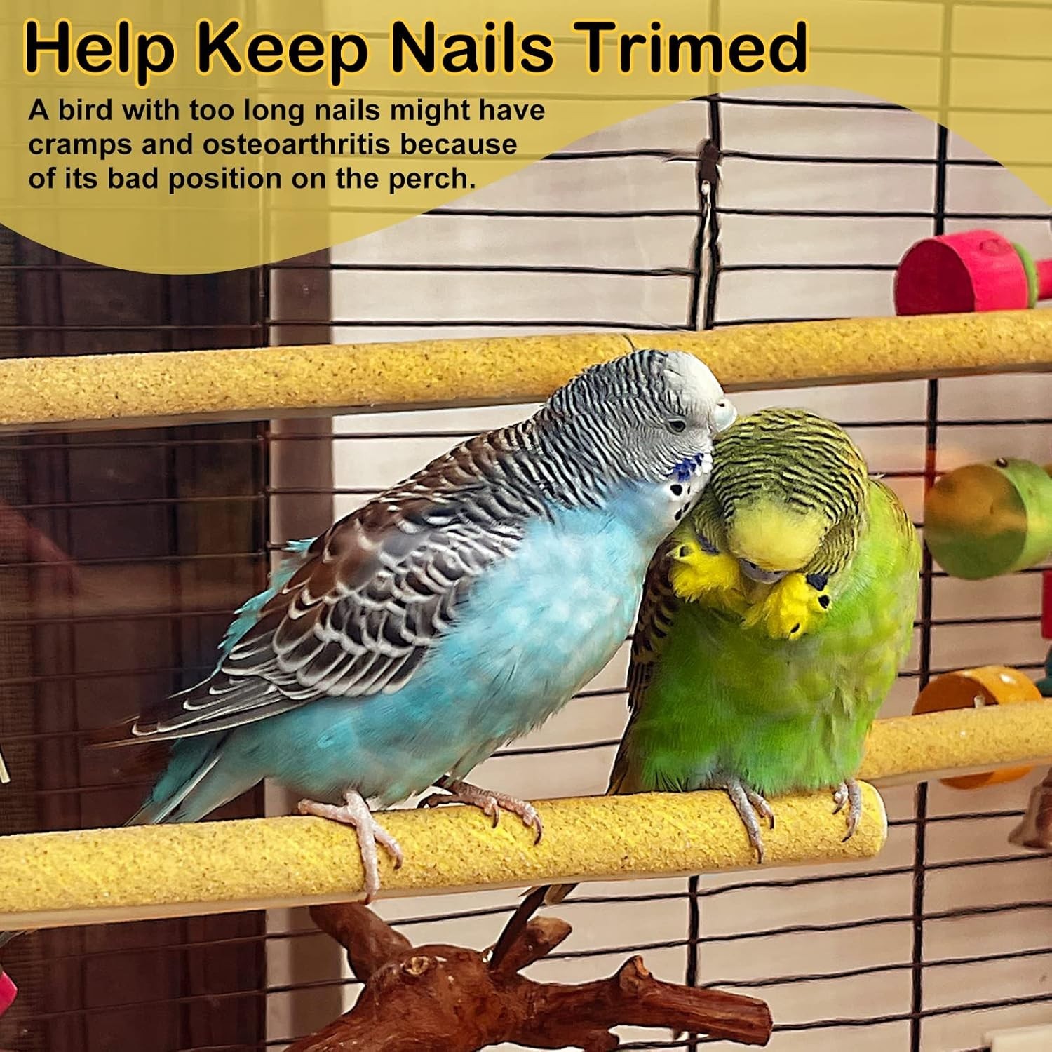 Small Sand Perch Covers for Canaries and Parakeets - Nail Care Essential, 6-Pack thumbnail 4