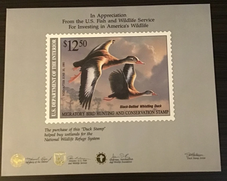 U.S. Stamps - Large Duck Stamp Collection!! - Image 3 of 4