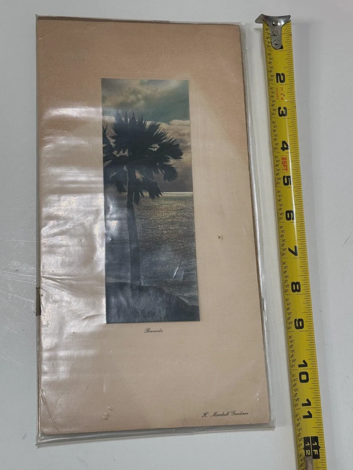 H. MARSHALL GARDINER ANTIGUO ORIGINAL ANTIGUO FOTOGRAFÍA EN COLOR BERMUDAS VISTA PAISAJE MARINO Foto 4 de 4