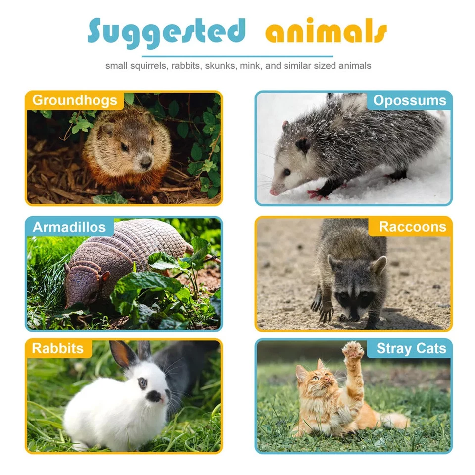 Trampa para animales vivos jaula extra grande para roedores jardín conejo mapache gato 24"X8"X 7,5" Foto 2 de 4