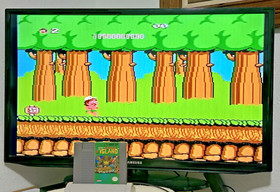 Hudson's Adventure Island  (Nintendo NES, 1988) NES - Game CART ONLY - TESTED