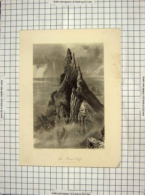 Alter antiker Druck gebogene Klippe Irland Meer Felsen Hinshelwood Fenn Gravur 20.