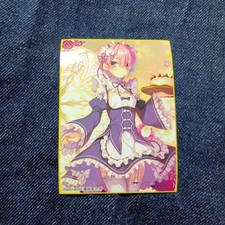 ReZero Ram Sleeves 60 s sb