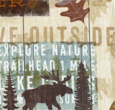 100 cotton fabric-45"wide-8 yards available-Adirondack collage