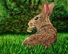 Wild Rabbit Prairie Flower Florida Wildlife Fine Art Painting. Acrylic 14x11
