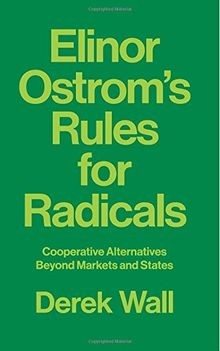 Elinor Ostroms Rules for Radicals von Wall, Derek | Buch | Zustand gut
