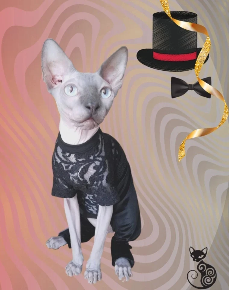 Elegant and Sophisticated Black Tuxedo with Belt - Cat Bodysuit - Size Medium - Image 2 of 4