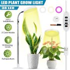 <!--F#f_0-->Full Spectrum Plant 38 LED UV Grow Light Halo Lamp For Indoor Hydroponic Plant<!--F/-->