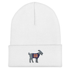 Wayne Gretzky Hat, Edmonton Oilers Hat, Wayne gretzky, GOAT Hat, Cuffed Beanie