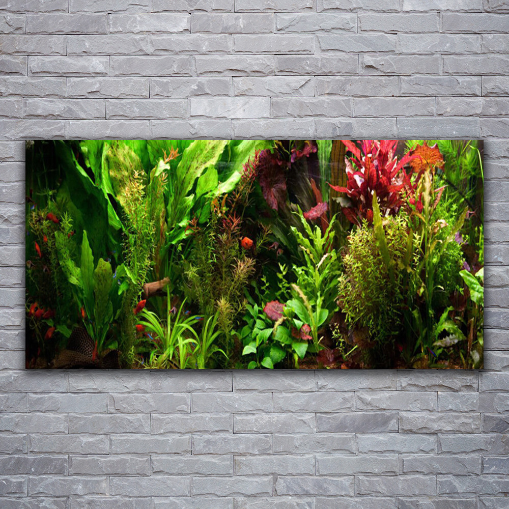Impression sur verre acrylique de qualité premium plantes sauvages 120x60