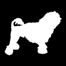 Lowchen Dog Silhouette Low Chen Decal Sticker White Die Cut Vinyl