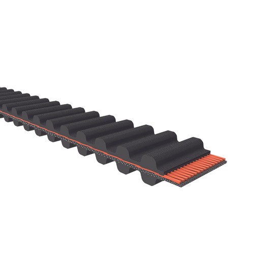 Cinghia Di Distribuzione D&D DURA-SURE 100-S5M-810 – Passo S5M 10x810mm