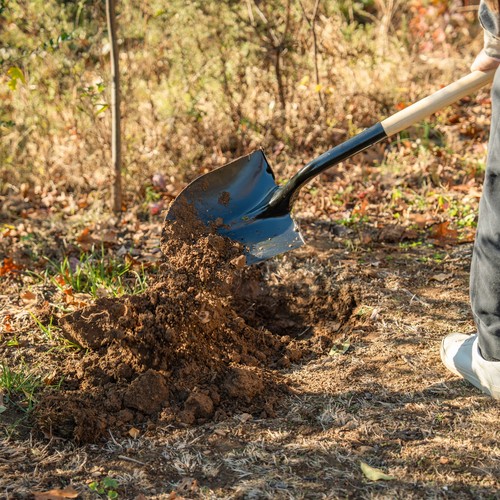 Round Point Shovel - Picture 3 of 9