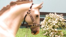 Jaapi 2021 SR halter, fits Northern Tempest, Breyer model Breyerfest BLACK
