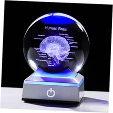  3D Human 3.15 in. Crystal Ball Doctor Psychology Graduation Gifts for Brain