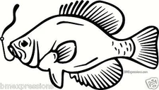 Crappie Fish on Hook Vinyl Decal Your Color Choice Sticker