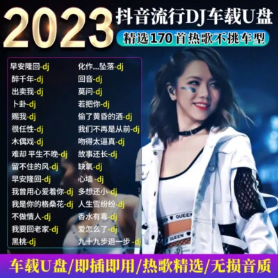 2023 Tik Tok 抖音 Hot DJ Dance Music Hot Songs Lossless 无损 mp3 Car USB Disk车载U盘