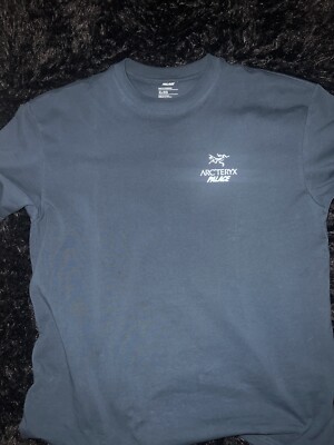 Arc'teryx Palace Reflective Tee | eBay