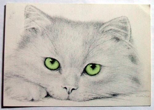 Cat Art Postcard -  GREEN EYED CAT FACE, Virginia Miller, Jonah's  (CAT3-11) - Picture 1 of 2