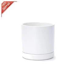 Elegant 6.5 Inch Ceramic Plant Pot with Saucer & Drainage Hole for Indoor Use