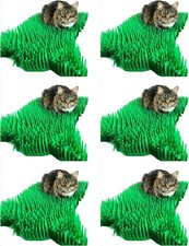 CATMAT. Tissue Grass Mats for Cats and Kittens. 6 Piece, Paper, Green