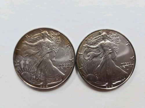 2021 AMERICAN EAGLE 1 OZ .999 FINE SILVER DOLLAR COINS STATUE LIBERTY TARNISHED