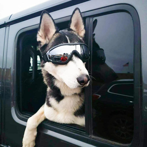 Windproof Dog Goggles Sunglasses UV Protection For Medium Large Dogs Glasses