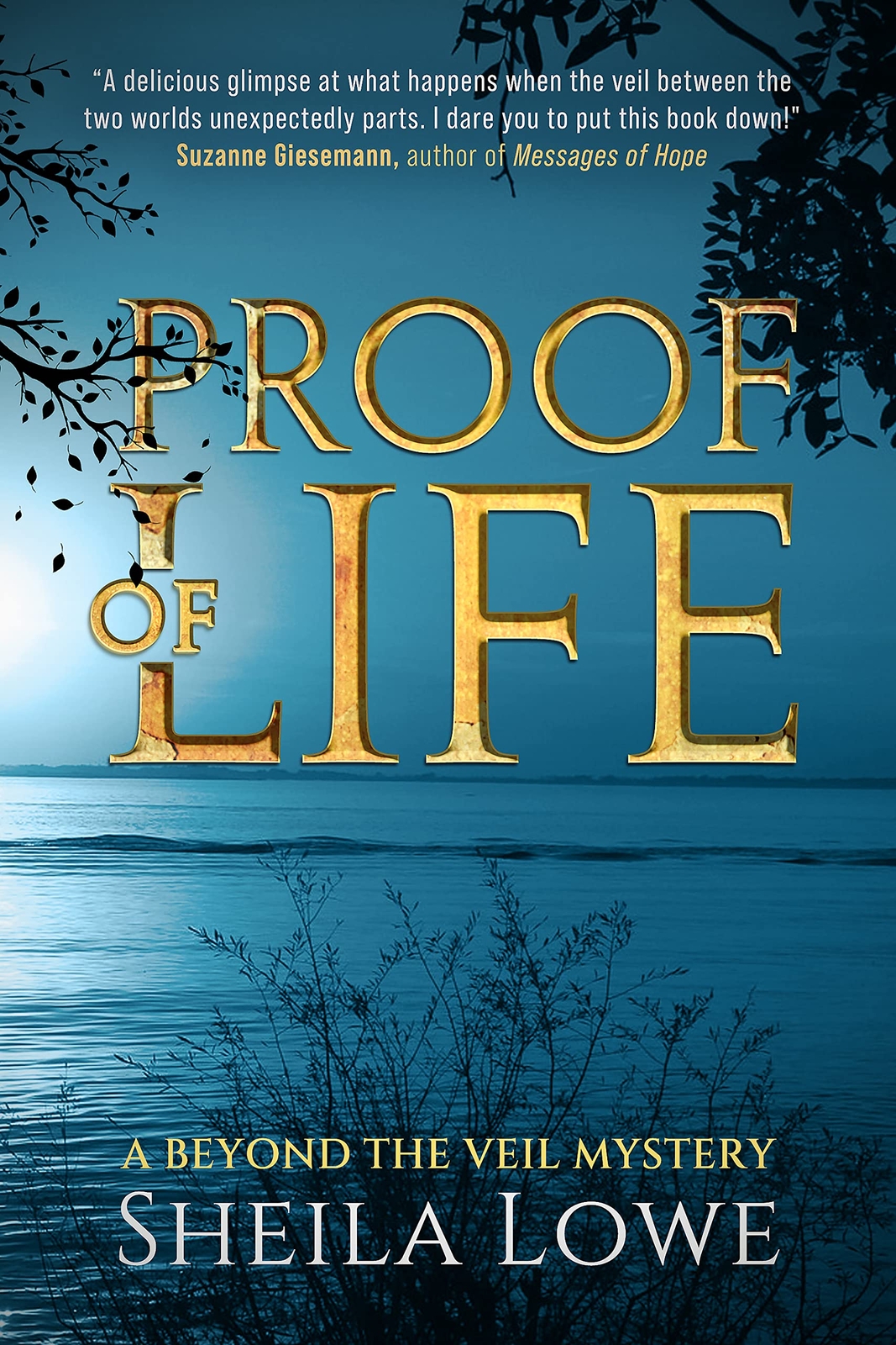 Thumbnail - Sheila Lowe Proof Of Life (taschenbuch) Beyond The Veil Mystery