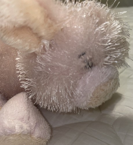 Ganz Webkinz Pig Beanie Plush Stuffed Animal Pink Fuzzy Floppy 8" NO CODES - Picture 5 of 7