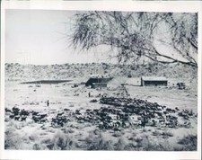 1969 Press Photo Turkmenia Russia Solar Powered Water Purification - ner40725