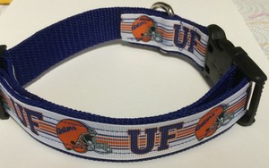 florida gators dog collar