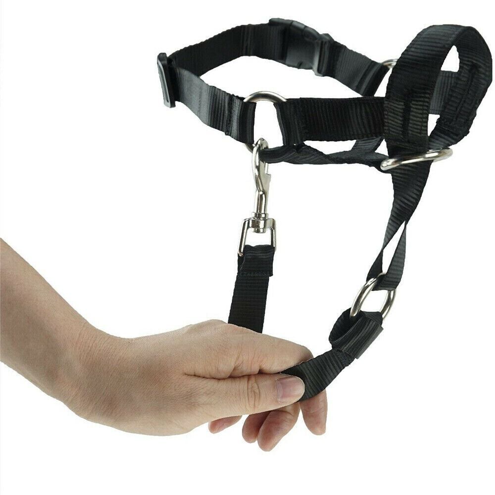Hot Dog Halter Halti Training Head Collar Harness Nylon Collars eBay