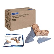 Kaplan Early Learning Magnetic Fossil 3D Puzzle - 6 Pieces of Megalodon Tooth