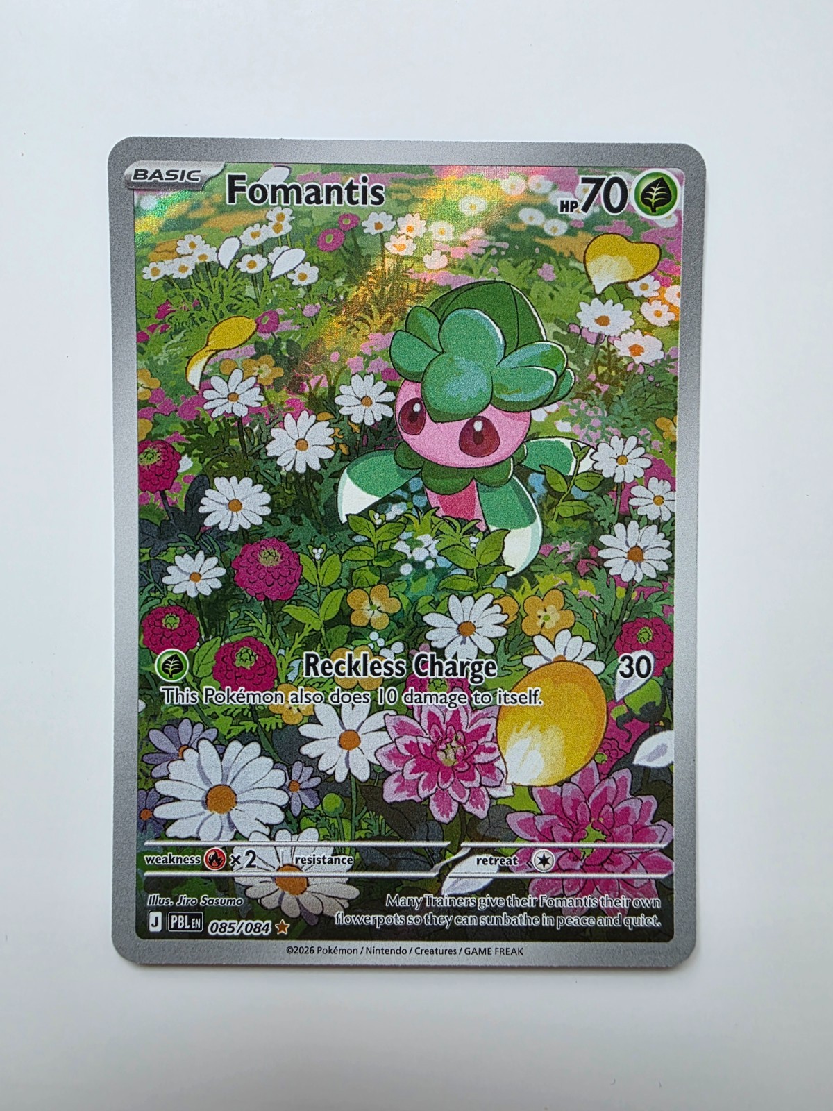 Pokemon Fomantis Pitch Black 085/084 Illustration Rare NM Just Pulled