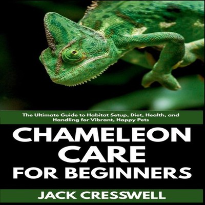 Chameleon Care for Beginners The Ultimate Guide to Habitat Setup