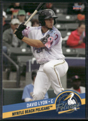 David Lyon 2014 Myrtle Beach Pelicans Team Set 