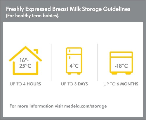 Medela Store and Feed Set Breast Milk Storage Bottles Calma Teat Bags BPA Free - Picture 7 of 7