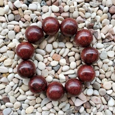 Gorgeous 22 MM Akar Laka Bracelet Dalbergia Parviflora 11 Beads Kayu Menang #53