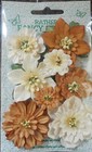 Foto 10 di 10